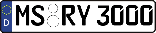 MS-RY3000