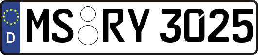 MS-RY3025