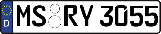 MS-RY3055