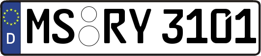 MS-RY3101