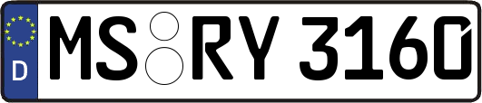 MS-RY3160