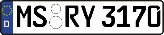 MS-RY3170