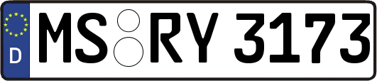 MS-RY3173