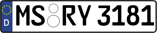 MS-RY3181