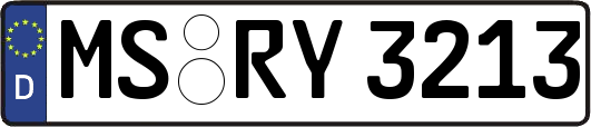MS-RY3213