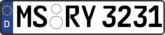 MS-RY3231