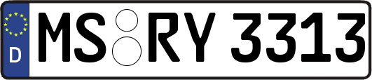MS-RY3313