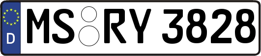MS-RY3828