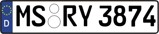MS-RY3874