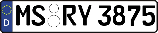 MS-RY3875