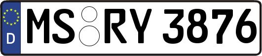 MS-RY3876
