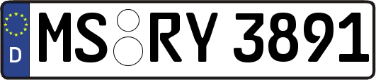 MS-RY3891