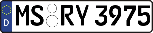 MS-RY3975