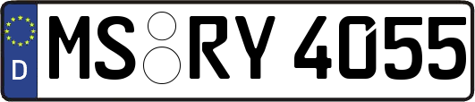 MS-RY4055
