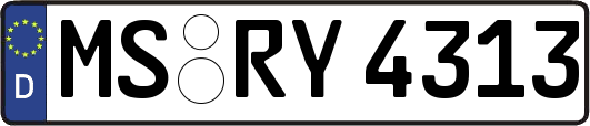 MS-RY4313