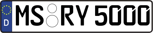MS-RY5000