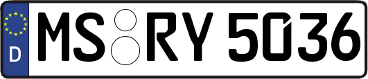 MS-RY5036