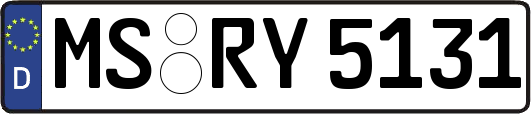 MS-RY5131