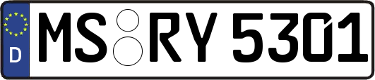 MS-RY5301