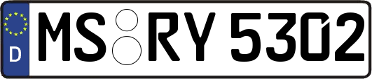 MS-RY5302