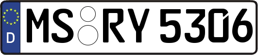 MS-RY5306