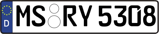 MS-RY5308