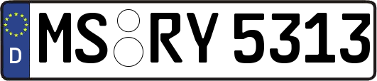 MS-RY5313