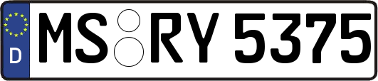 MS-RY5375