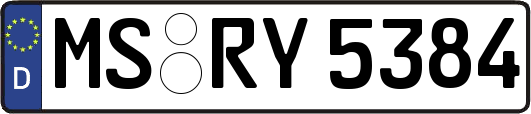 MS-RY5384