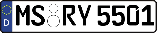 MS-RY5501