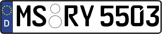 MS-RY5503