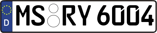 MS-RY6004
