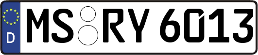 MS-RY6013