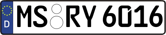 MS-RY6016