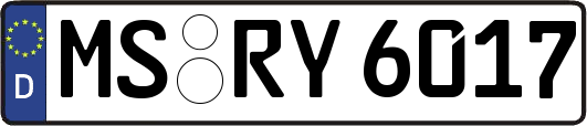 MS-RY6017