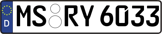 MS-RY6033