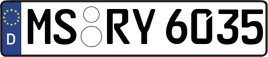 MS-RY6035