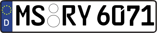 MS-RY6071