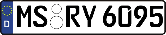 MS-RY6095