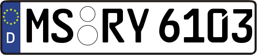 MS-RY6103