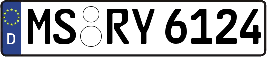 MS-RY6124