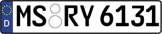 MS-RY6131
