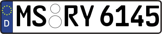 MS-RY6145