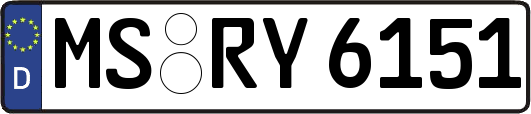 MS-RY6151