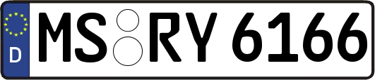 MS-RY6166