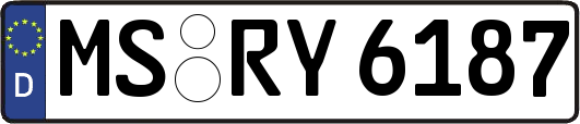 MS-RY6187