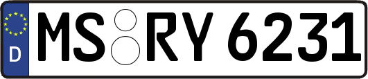 MS-RY6231