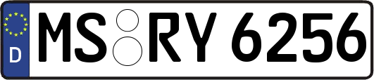 MS-RY6256