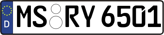 MS-RY6501