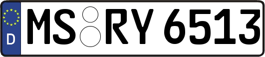 MS-RY6513